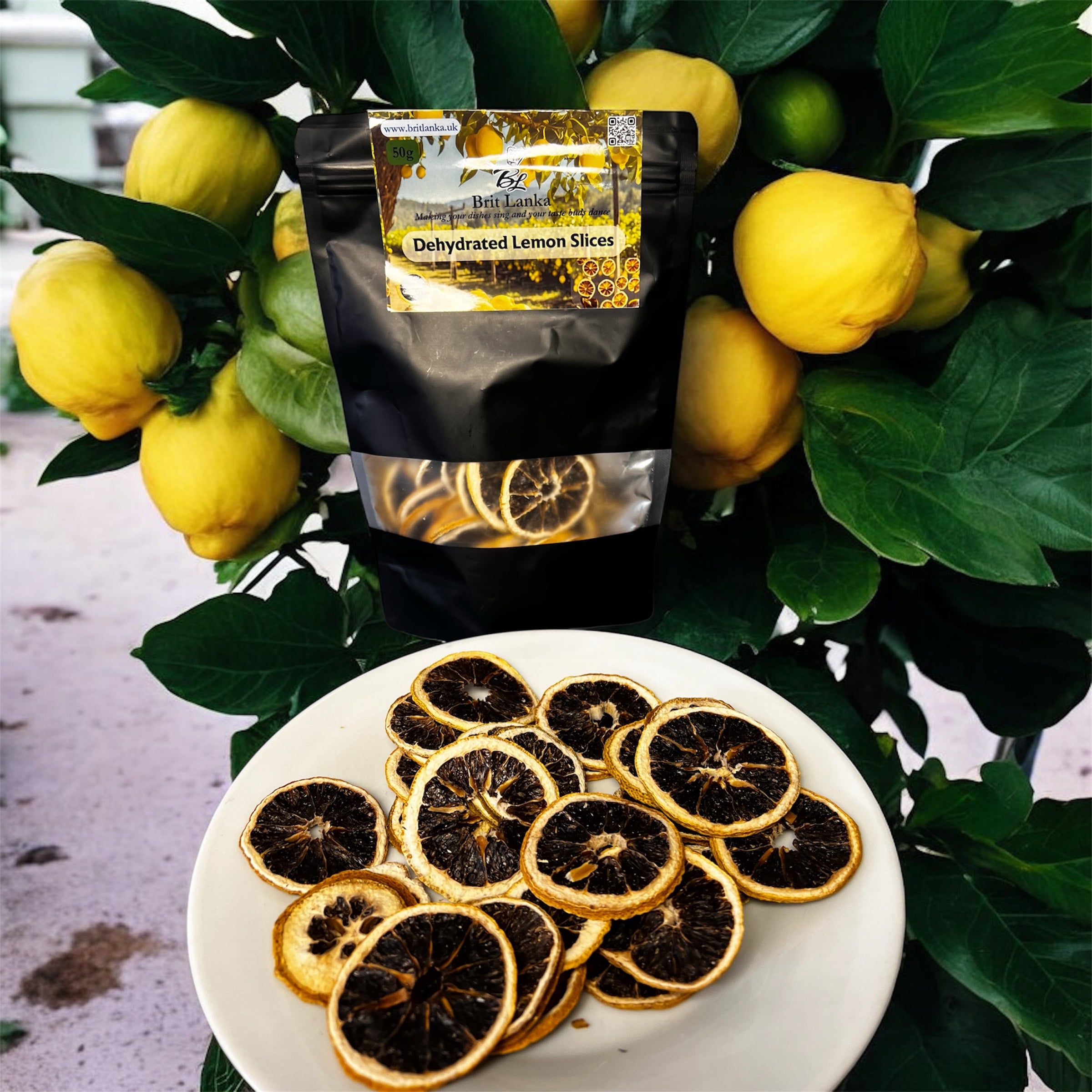 Dehydrated Lemon Slices Bag for Cocktails Drinks Crafting EdibleFruit Ceylon 50g