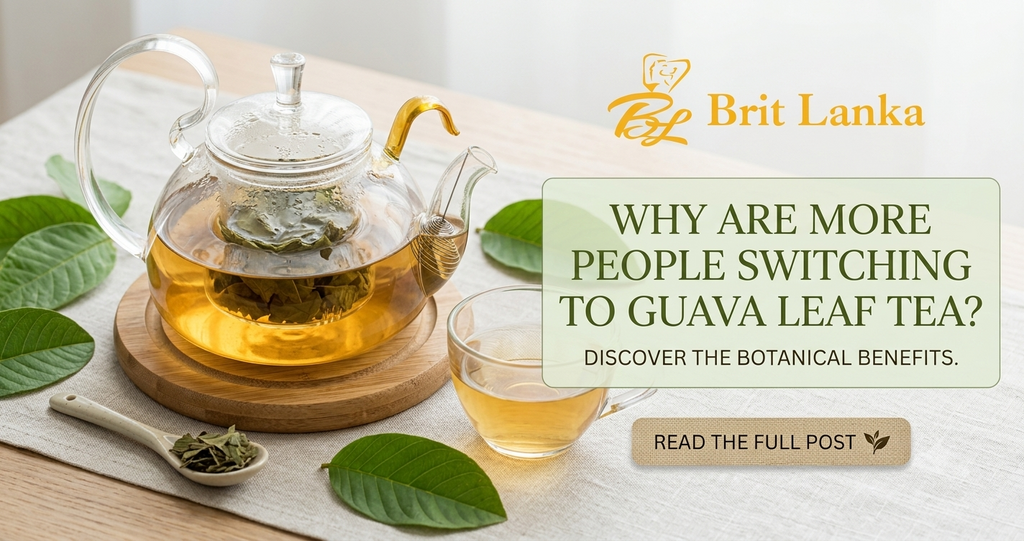 Why Are More People Switching to Guava Leaf Tea?