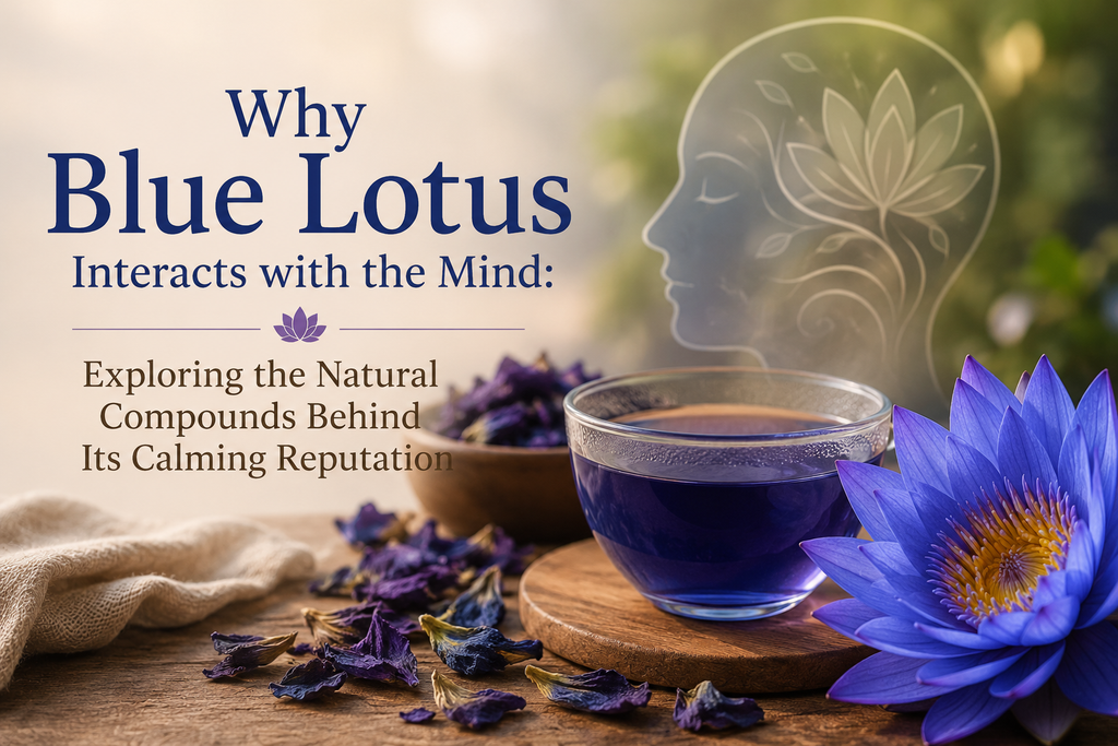 Why Blue Lotus Interacts with the Mind: Exploring the Natural Compounds Behind Its Calming Reputation